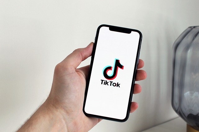 How to Get More Followers on TikTok